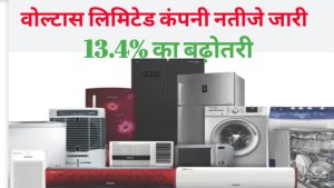 Voltas Q4 Results